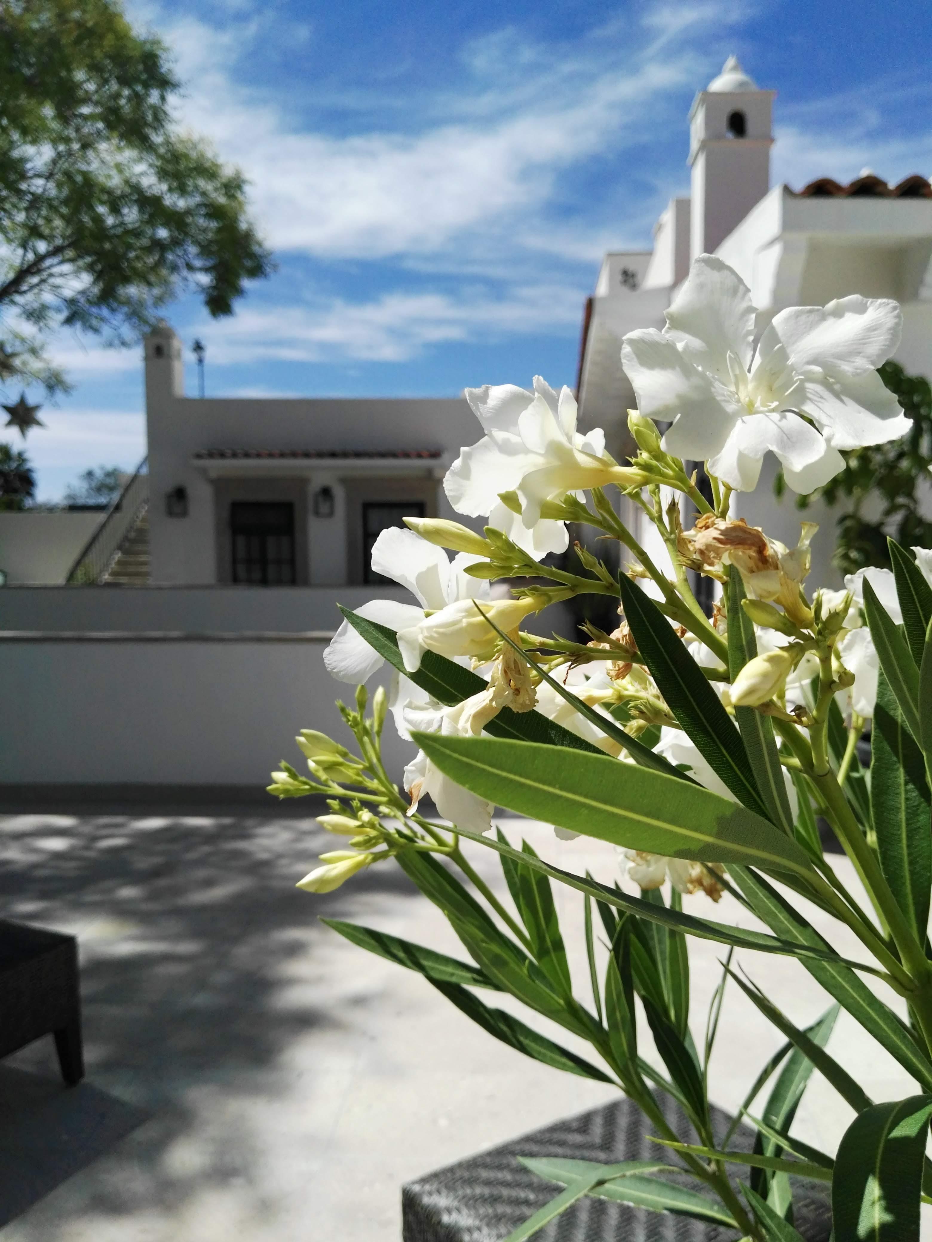 กาซา ลานี ลักชัวรี บีแอนด์บี Bed & Breakfast ซานมิเกล เด อาเญนเด ภายนอก รูปภาพ